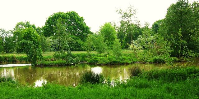 Burgdorfer Stadtpark!