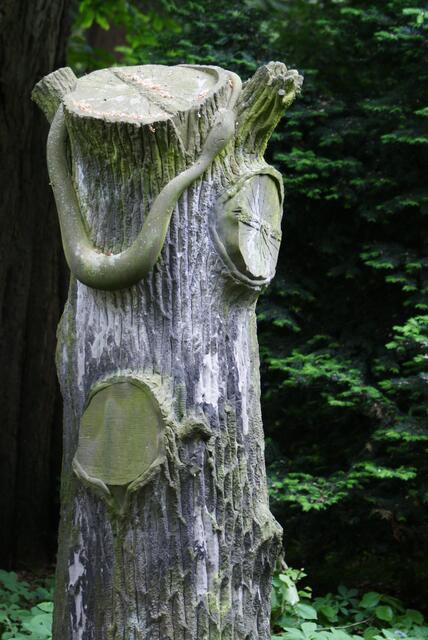 Dieser Stein ist mein Favorit!