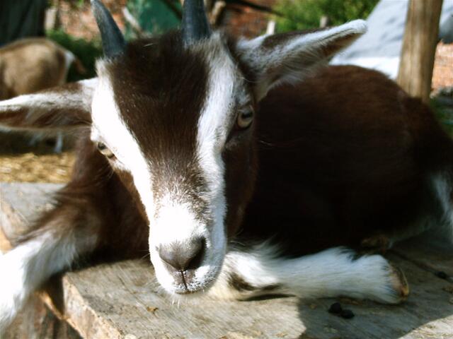 "Das ist so warm heute"