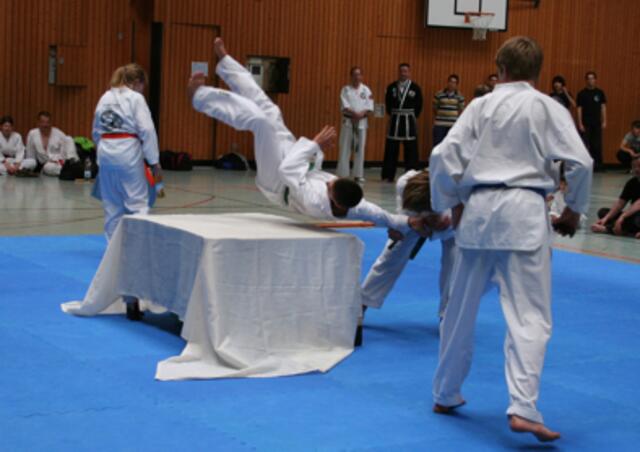 Show-Kampf Kampfsport-Center