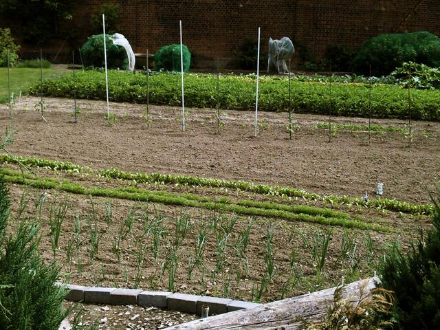 Ordentlicher Gemüsegarten am Hof Bötger