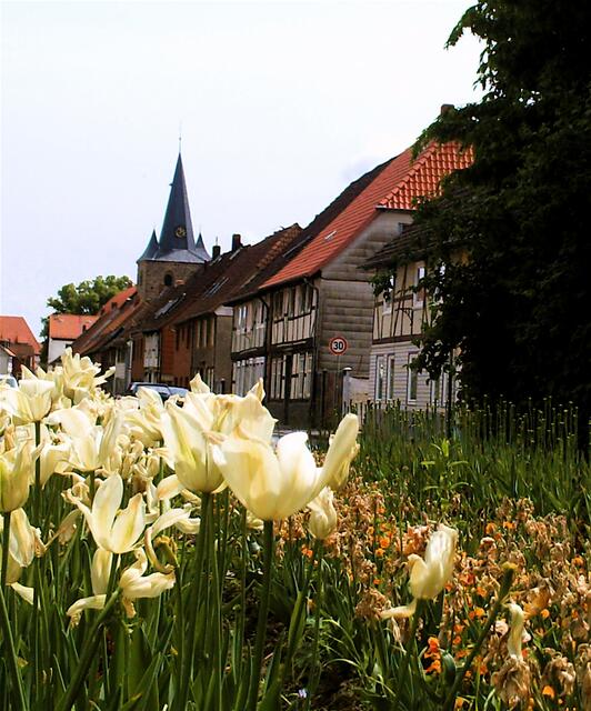 Die Dammstraße mit St. Lucas-Kirche