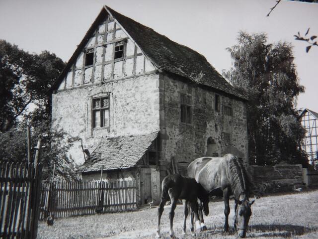 Blick auf die Obere Burg (1959) im Gutspark, wo ELISABETH möglicherweise den Lyriker RILKE getroffen hat (mehr hierzu im begleitenden Text).
