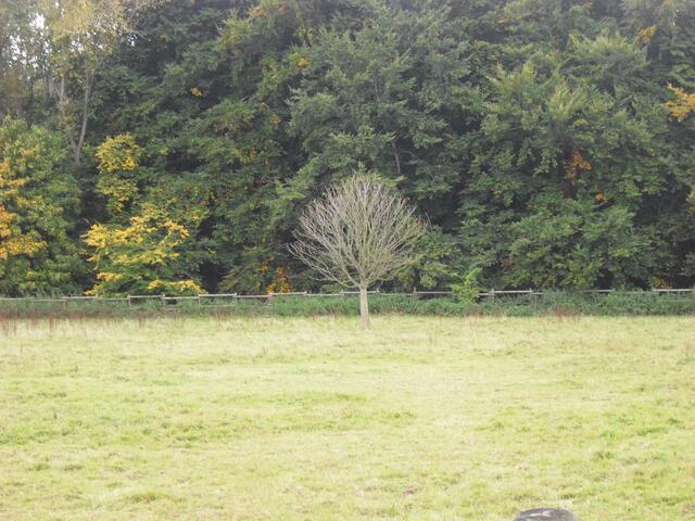 Herbst