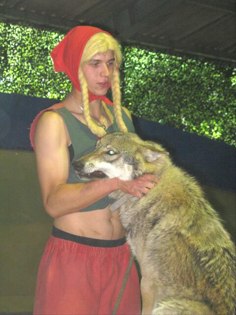 Rotkäppchen und der liebe Wolf