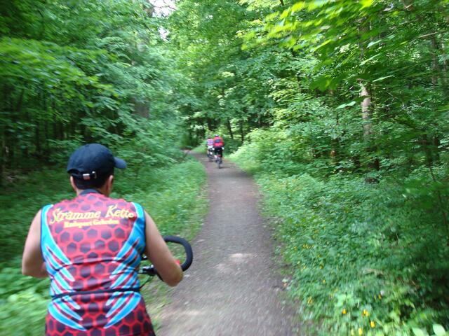 Viele Waldwege