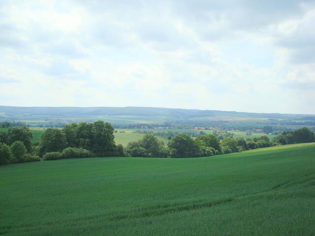 Deisterlandschaft