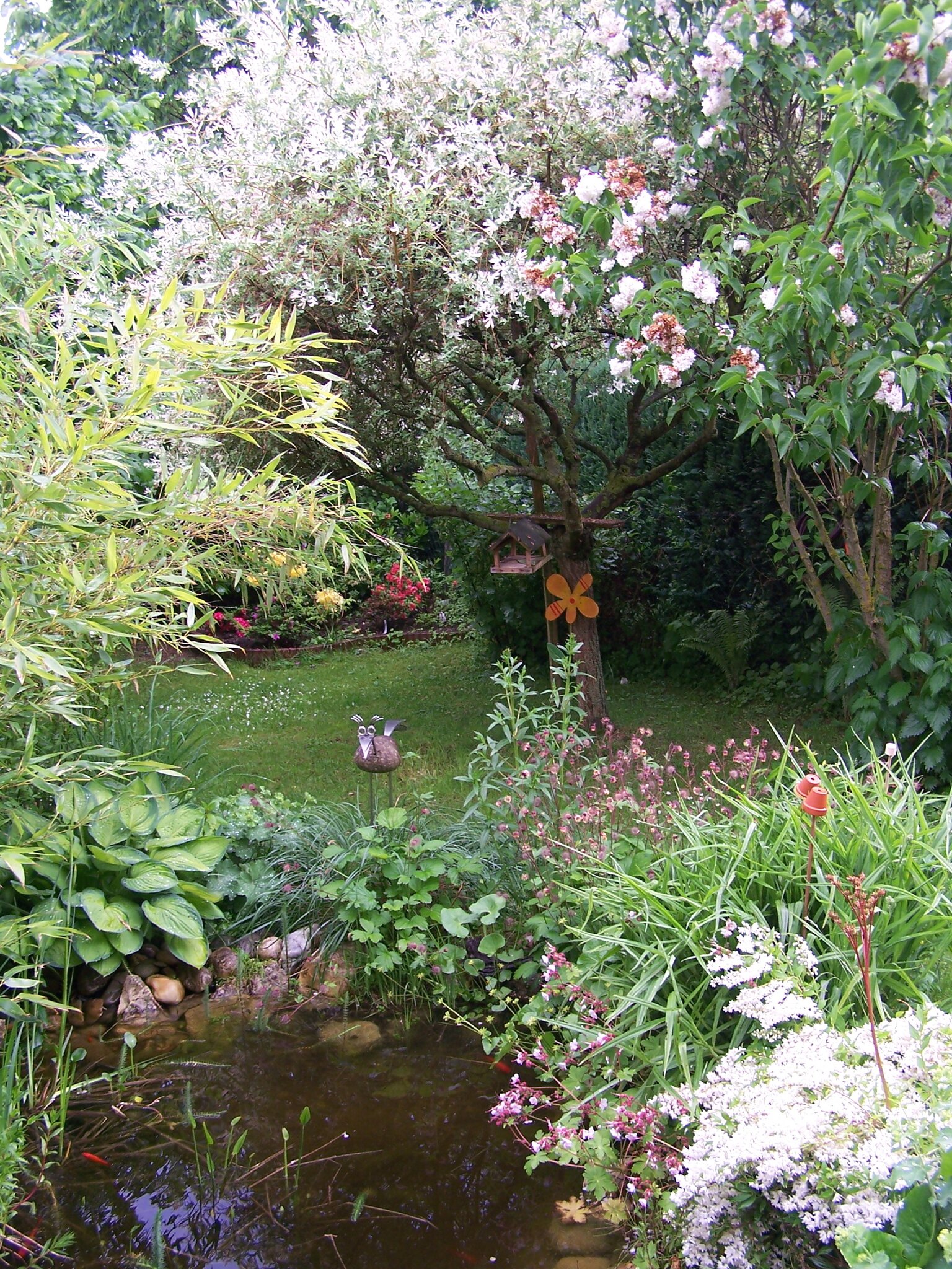 Mein Garten klein aber fein Dillingen