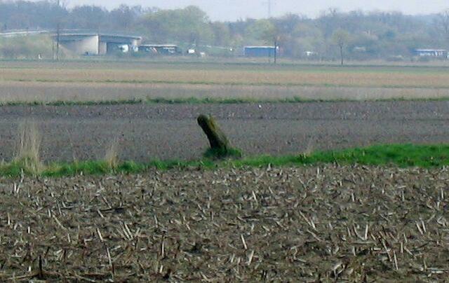 Grenzstein vor Sievershausen...........