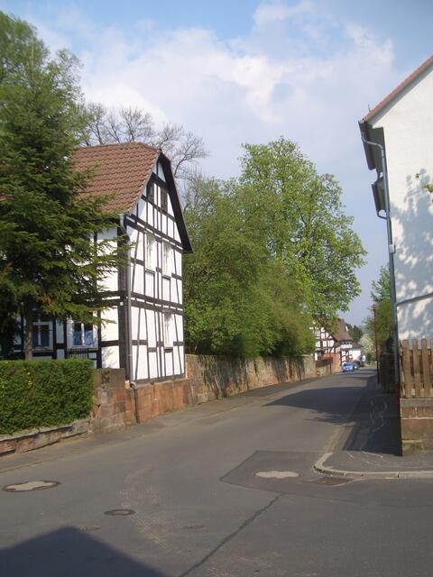 Blick in die Grabenstraße: Links die hohe Mauer des Gutsparks; große Rosskastanie in der Vogeloase.