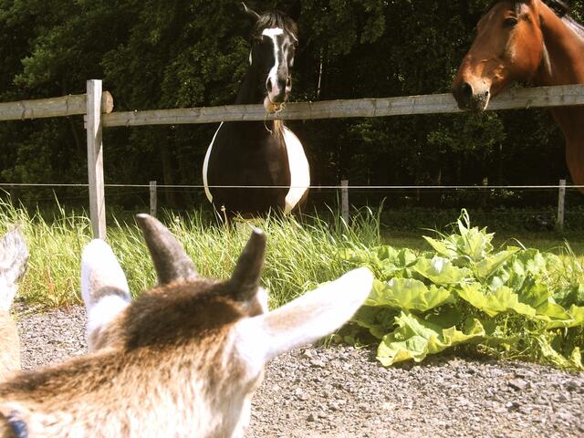 Was woll'n die von mir???