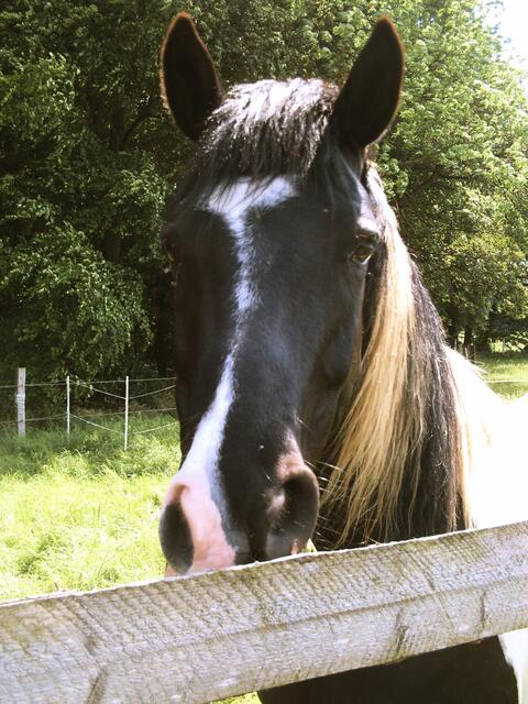 Was will der kleine Wicht denn hier???