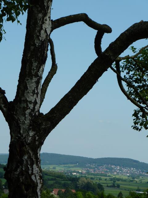 Blick vom Jüdischen Friedhof ins Lahntal.