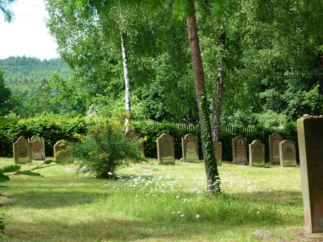 Jüdischer Friedhof im Abseits. Weit entfernt vom Ortskern - in Nähe der Grundschule Fronhausen.