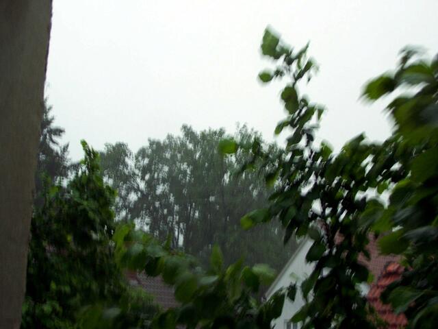 Regen dicht nieder prasseln ließ....