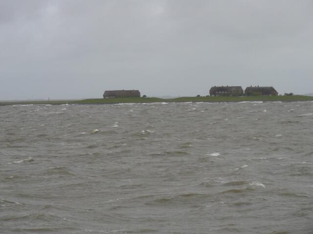Hallig