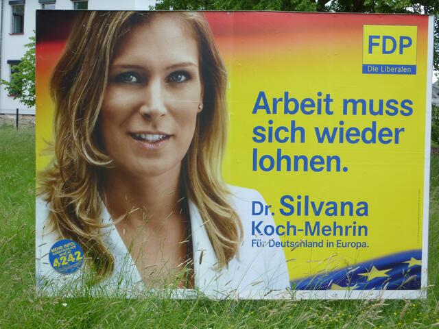 FDP-Plakatwand. Werben für den Vertrag von Lissabon, Volksentscheide auf EU-Ebene, Senkung der Stromsteuer, ermäßigte Mehrwertsteuer, Agrarsubventions-Abbau.