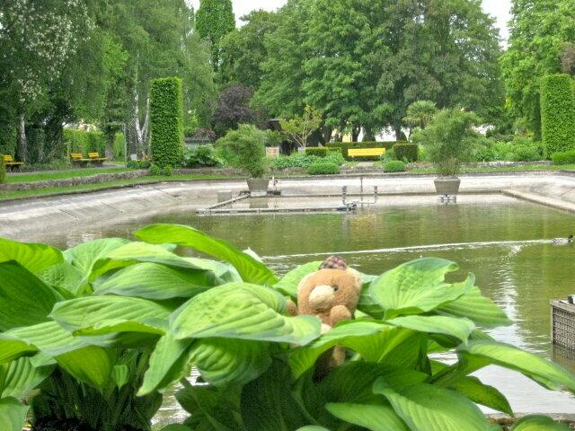 Teddy im Park
