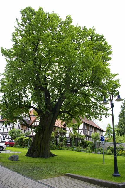 vor der Kilianskirche