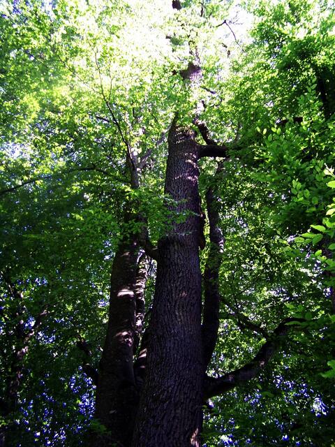 Im Sonnenlicht