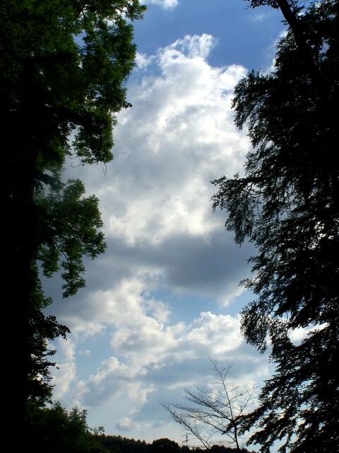 Der Lichtblick