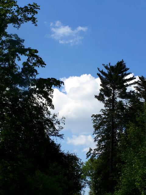 Weiß und blau