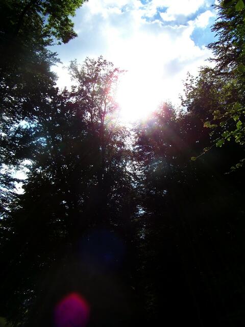 Wo immer auch die Sonne scheint...