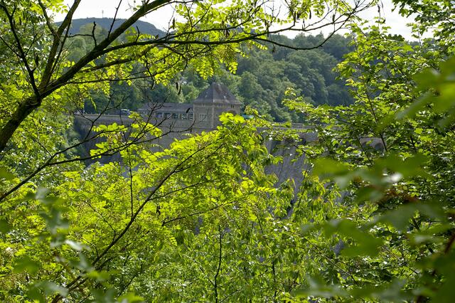 da hinten ist sie