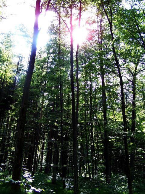 und überall scheint die Sonne