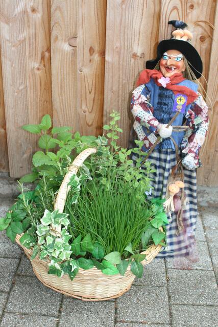 die Waldhexe und der Kräuterkorb