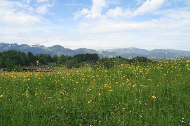 buntes Allgäu