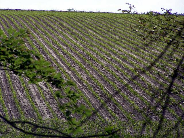 wo sieht man noch einen Landwirt auf dem Felde während des Tages??
