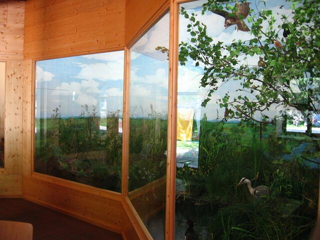 Naturpanorama in Echtgröße hinter Glas