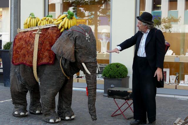 "Elephant Walk"