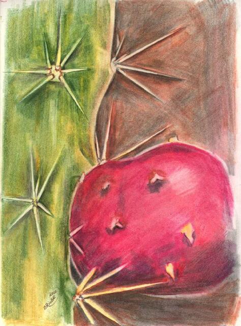 20011841 Kaktusfrucht 21x29 Farbzeichnung  gezeichnet  # 9.5. 2001 von Brigitte Obermaier