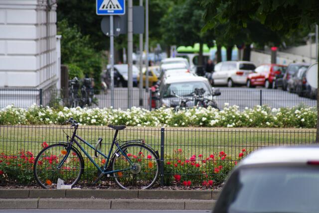 Linden, Küchengartenplatz
