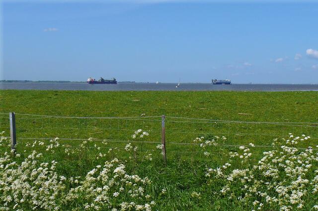 Schiffe auf der Elbe bei Glückstadt
