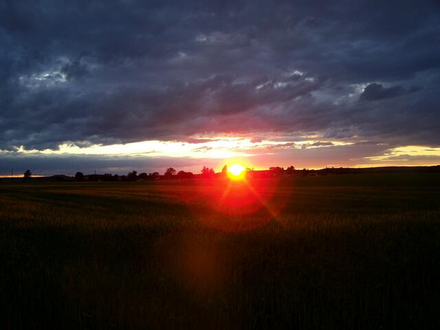 lässt sich nicht drängen
