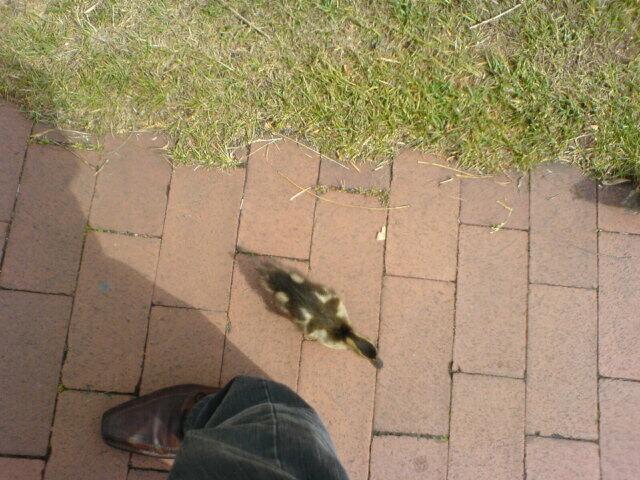 So nah an meinem Bein, schon erstaunlich !!!
