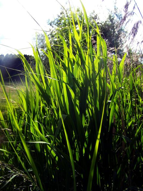 Trotz Sturm auch Sonnenstrahl.....
