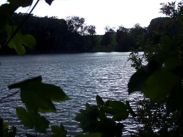 Und immer wieder geht der Blick...........