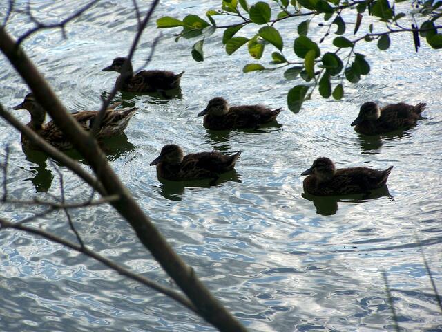 Familienausflug.............