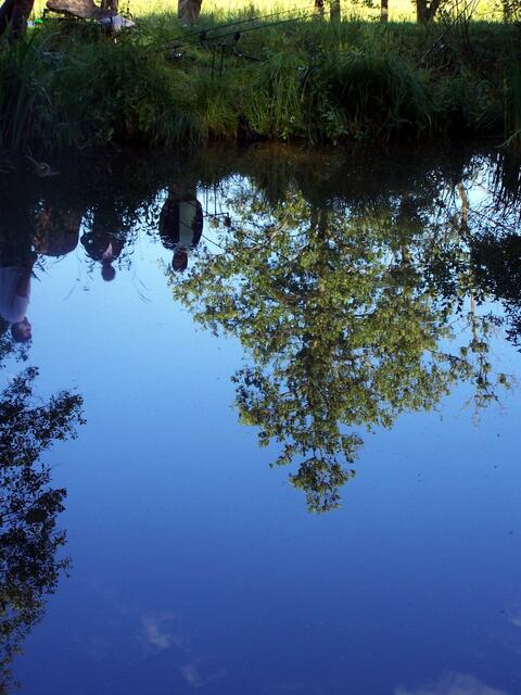 ein Spiegelbild, grad wunderbar.....