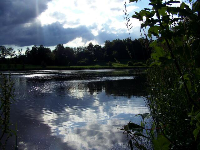 Der Wolkenschar im Sonnlicht seh.....