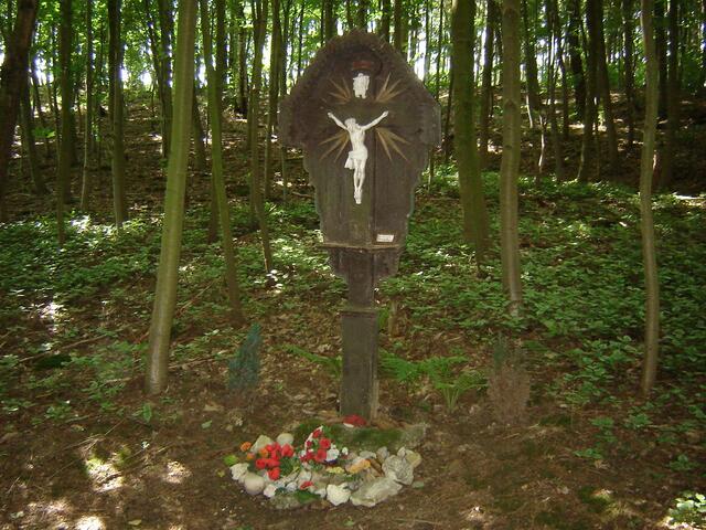 in der Umgebung im Wald