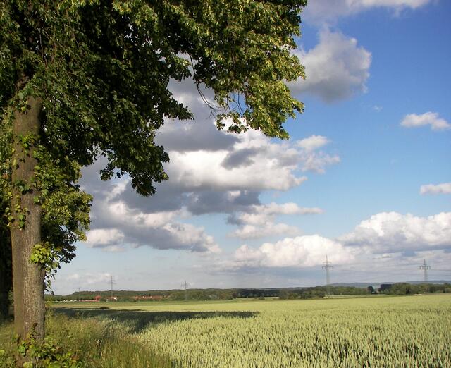Mittelrode