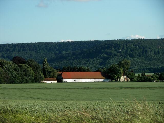 Eldagsen (Obergut) und Osterwald
