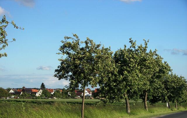 Eldagsen