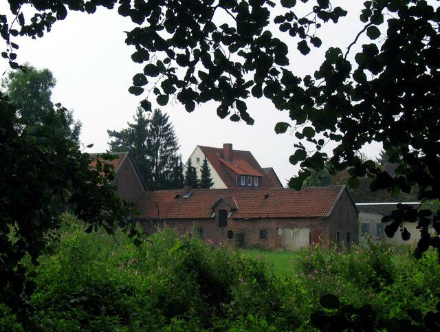 feuchte Niederung.............