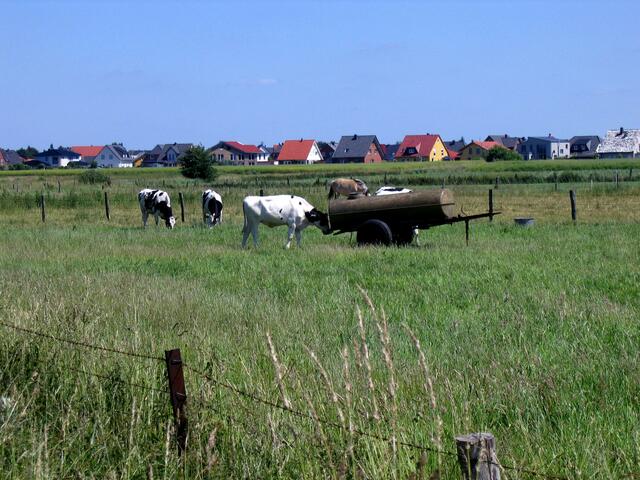 Neubauviertel  Vöhrum - Knickfeld